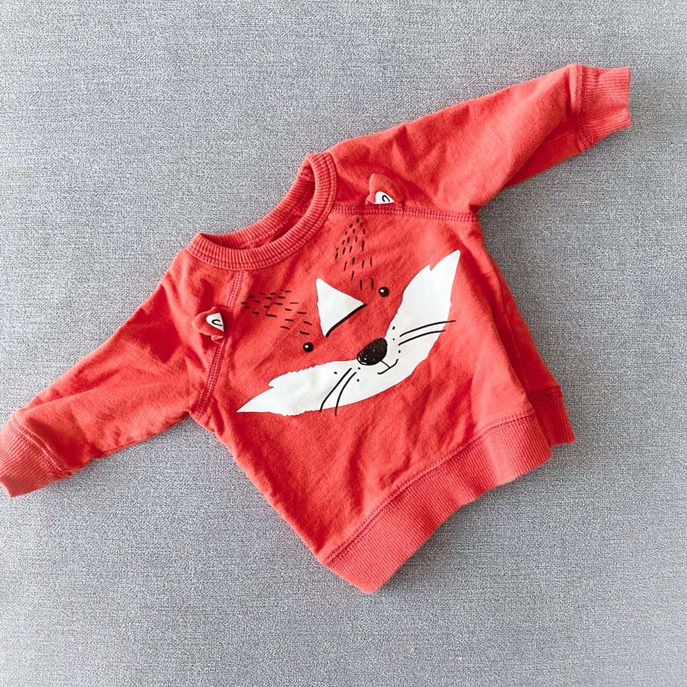 Fox sweatshirt